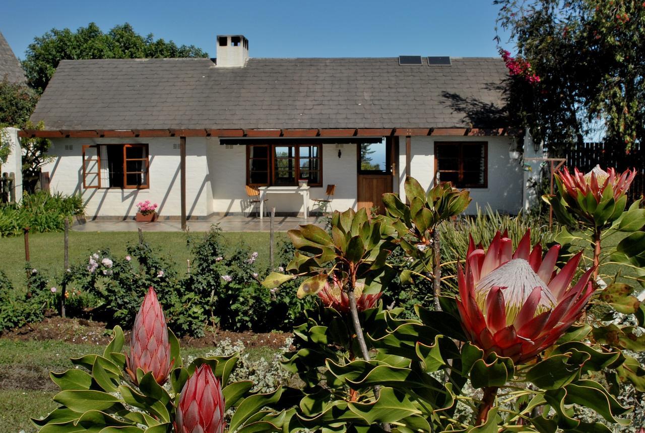 Heatherhill Farmhouse - Sea & Mountain Views Plettenberg Bay Exterior foto